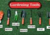 Essential Gardening Tools and Tips for a Thriving Garden