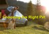 Choosing the Right Pet for Your Lifestyle: A Comprehensive Guide